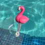 Kép 3/3 - Medence  Hőmérő Flamingós